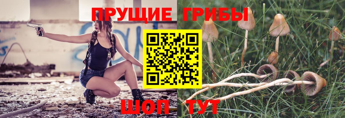 Псилоцибиновые грибы Cubensis Ливны